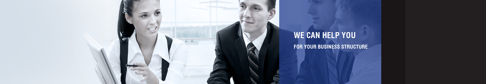 d&l-partner-ourservices-business